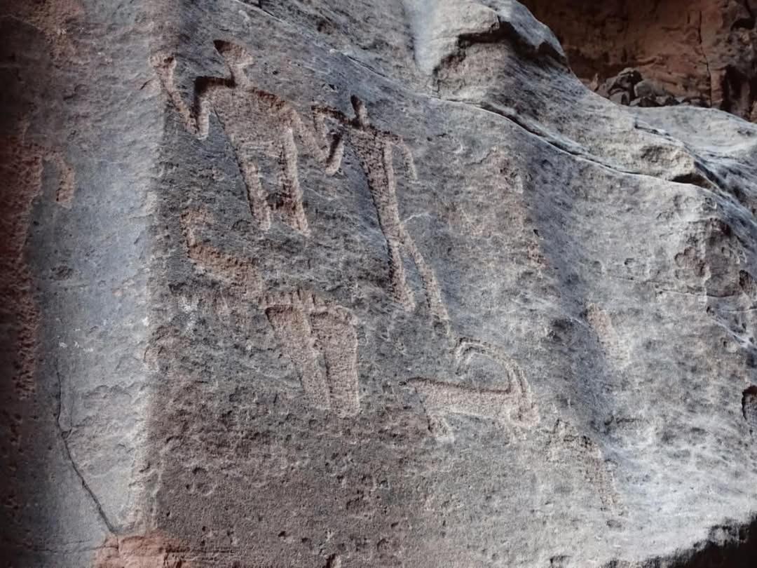 Wadi Rum Magic Nature Camp 外观 照片