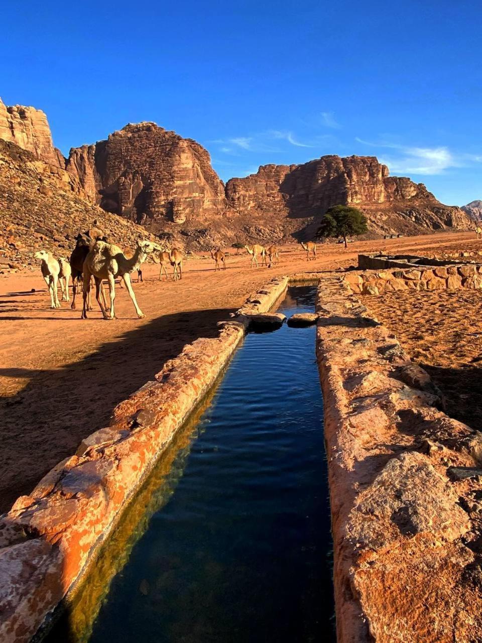 Wadi Rum Magic Nature Camp 外观 照片